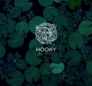 <span>Hooky</span><i>→</i>